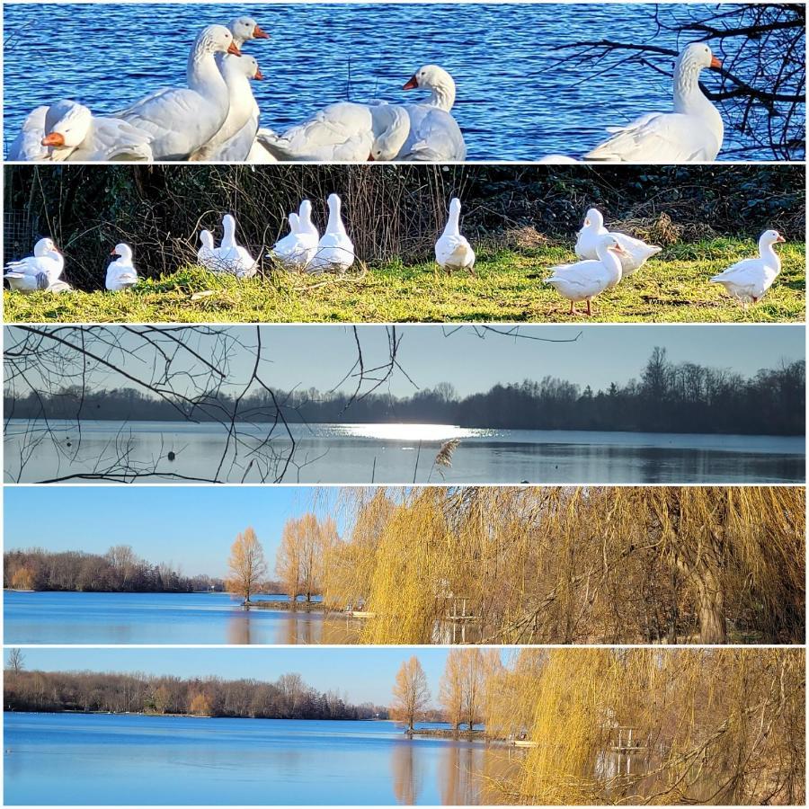 Ferienwohnung Casa Di Lago Heinsberg  Kültér fotó